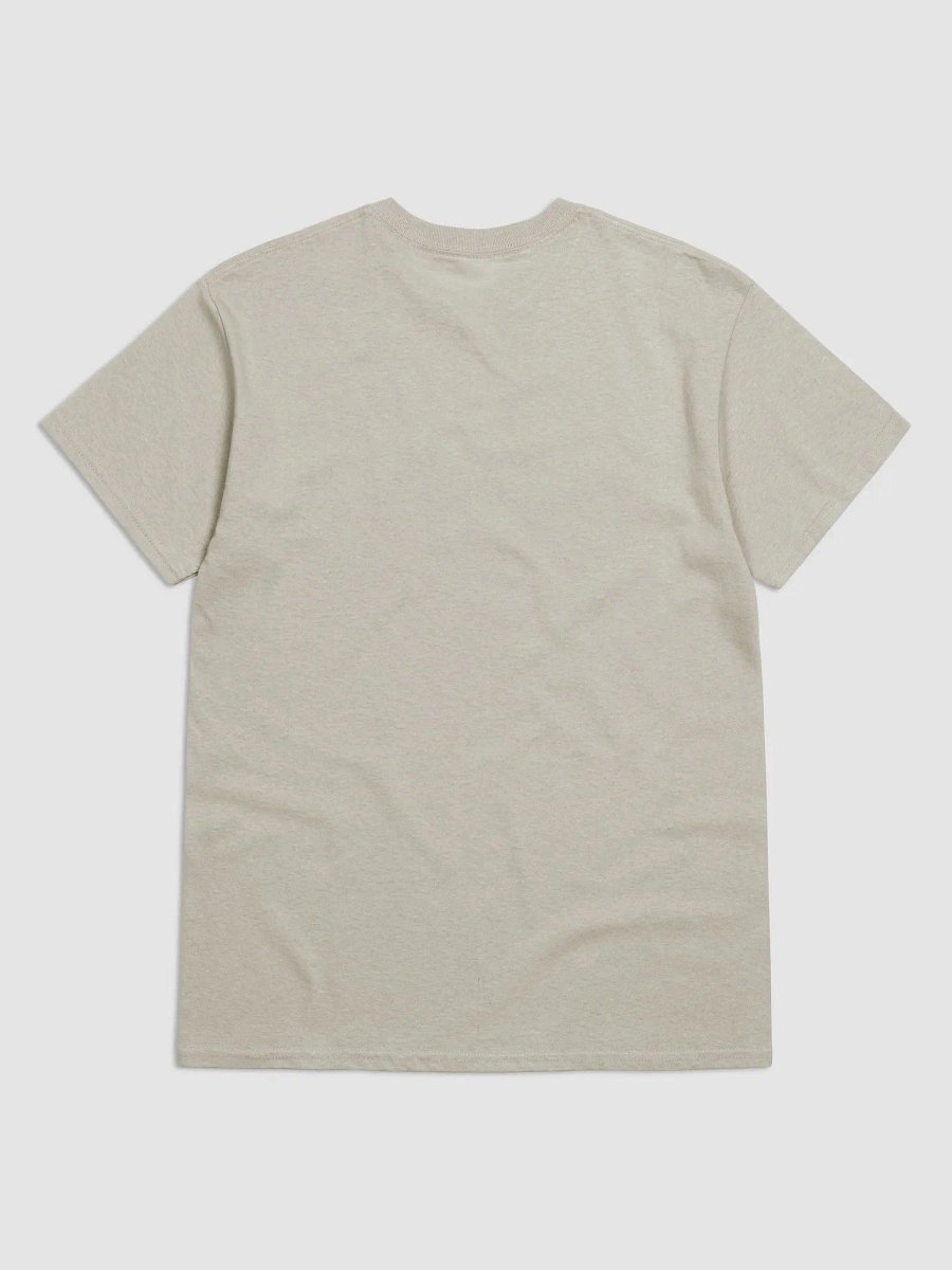 POSSIBLY AUTISTIC - SHIRT product image (2)