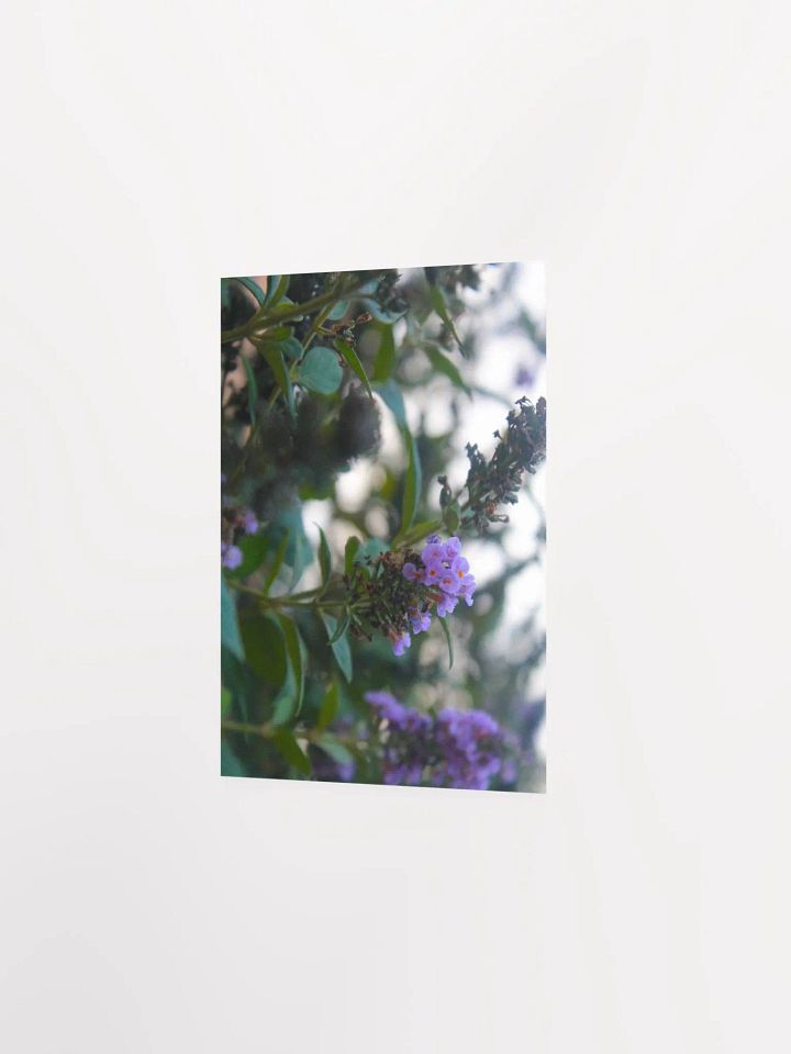 A Study in Flowers 5 product image (18)