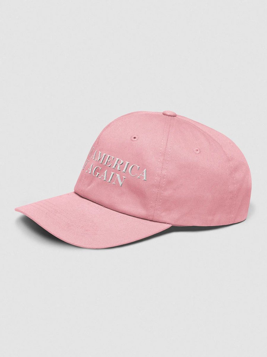 MAKE AMERICA ✨GAY✨ AGAIN HAT product image (3)