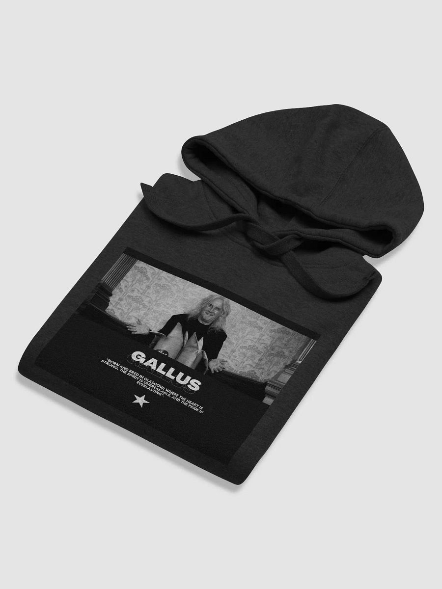 Gallus Hoodies product image (6)