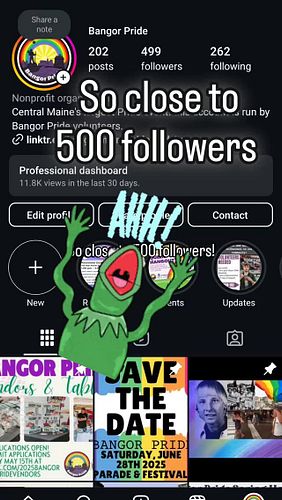 Who will be our 500th follower? 🤩
