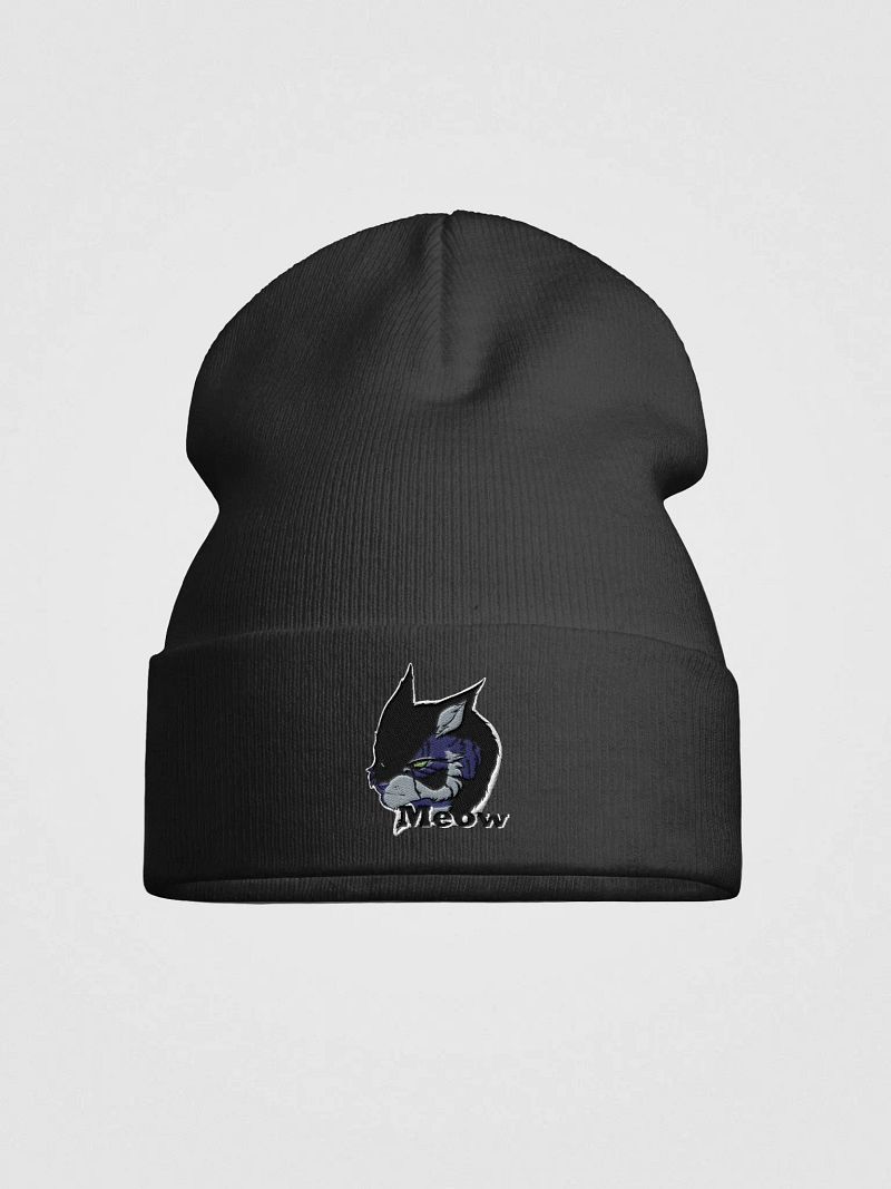 Barron Beanie 1