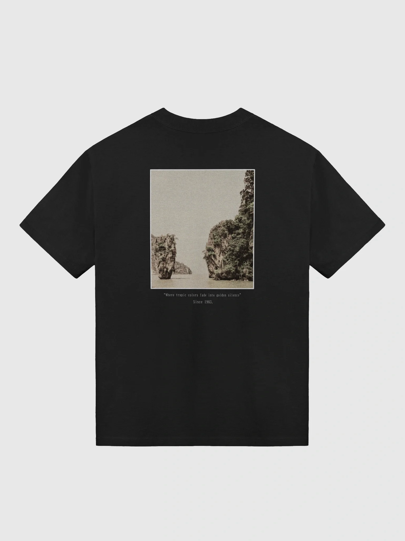 Tropic fade Premium Oversized tee product image (2)