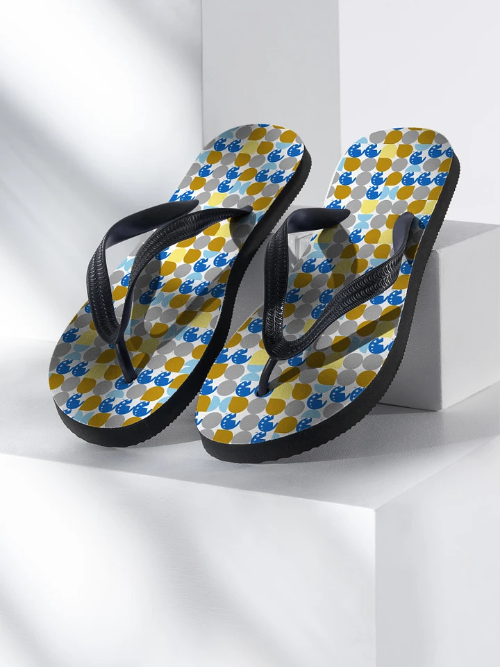 Flip Flops product image (1)