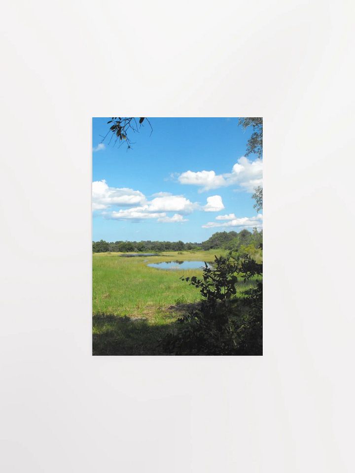 Florida Pond product image (5)