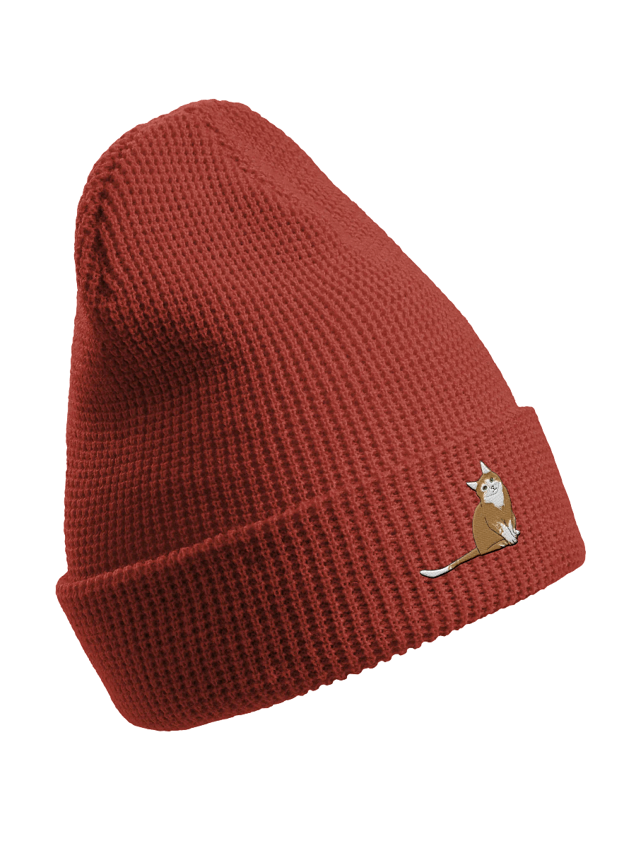 Orange Cat Waffle Beanie product image (4)