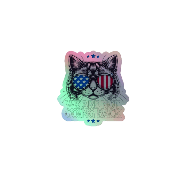 US Election Day 2024 We Are Not Going Back Cat America Flag Sticker product image (1)