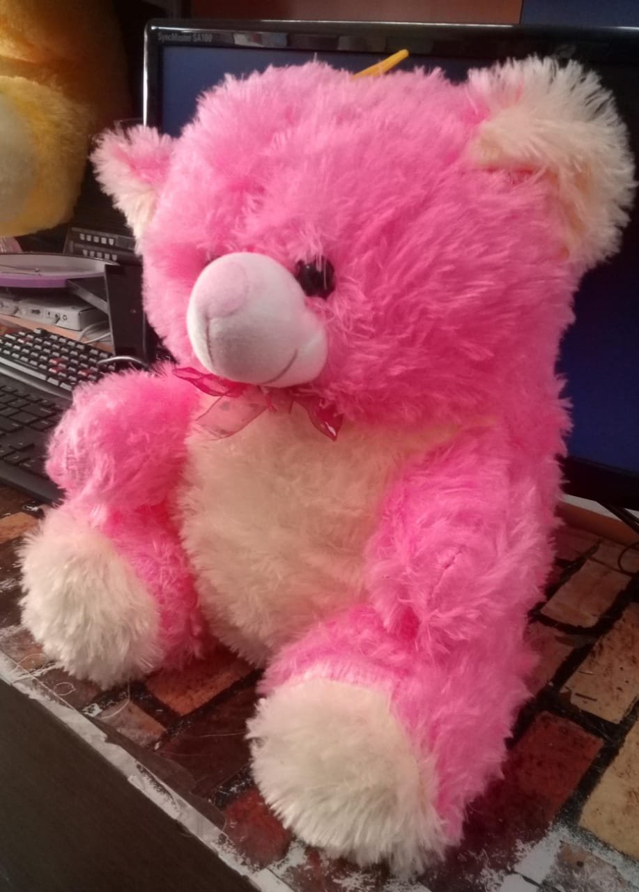 TEDDY BEAR product image (2)