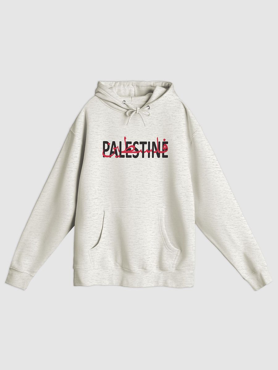 Palestine Hoodie product image (1)