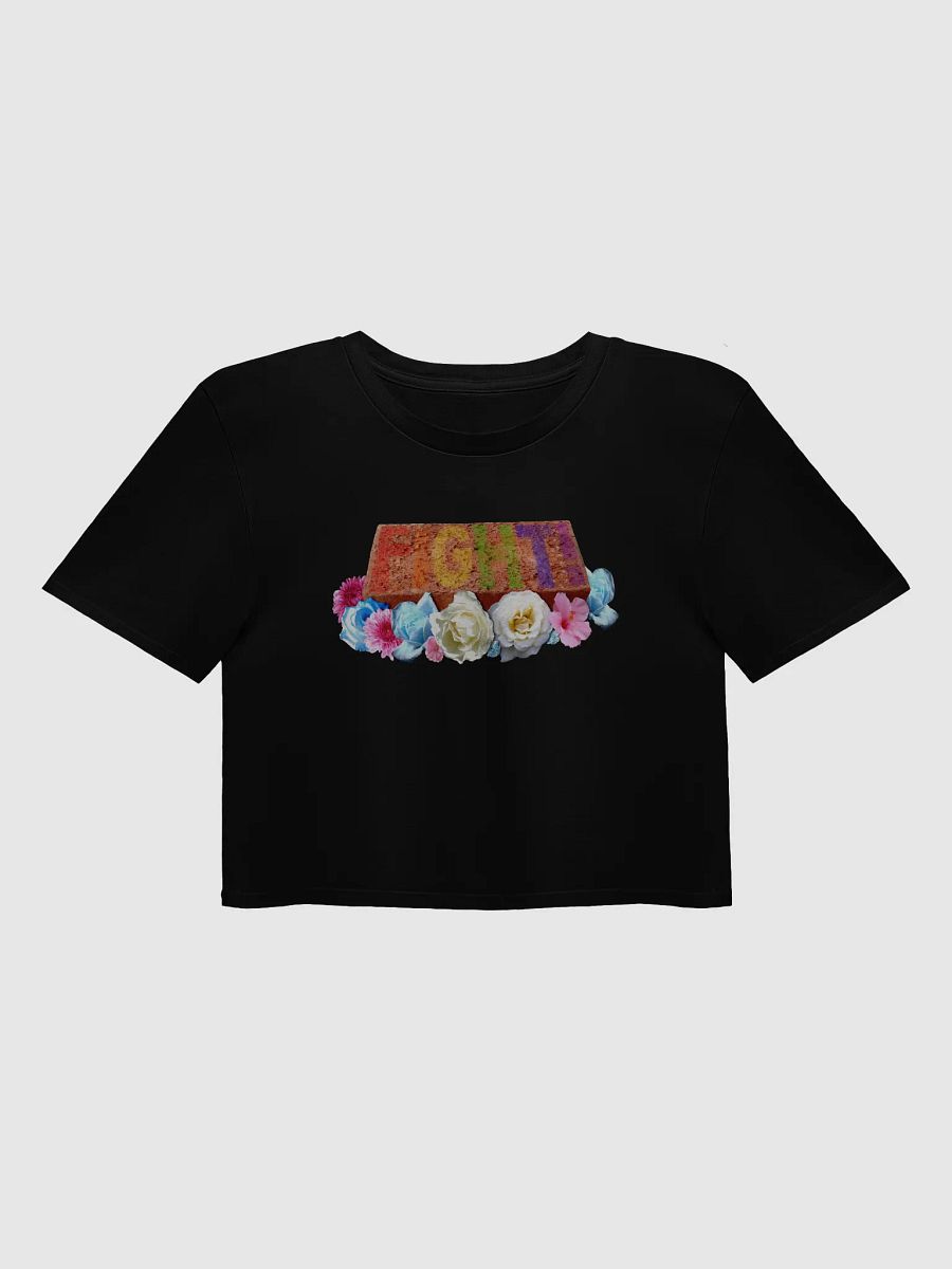 Pride is a Riot Crop Top product image (2)