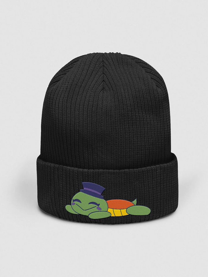 Sleepy Turtle Embroidered Beanie product image (1)