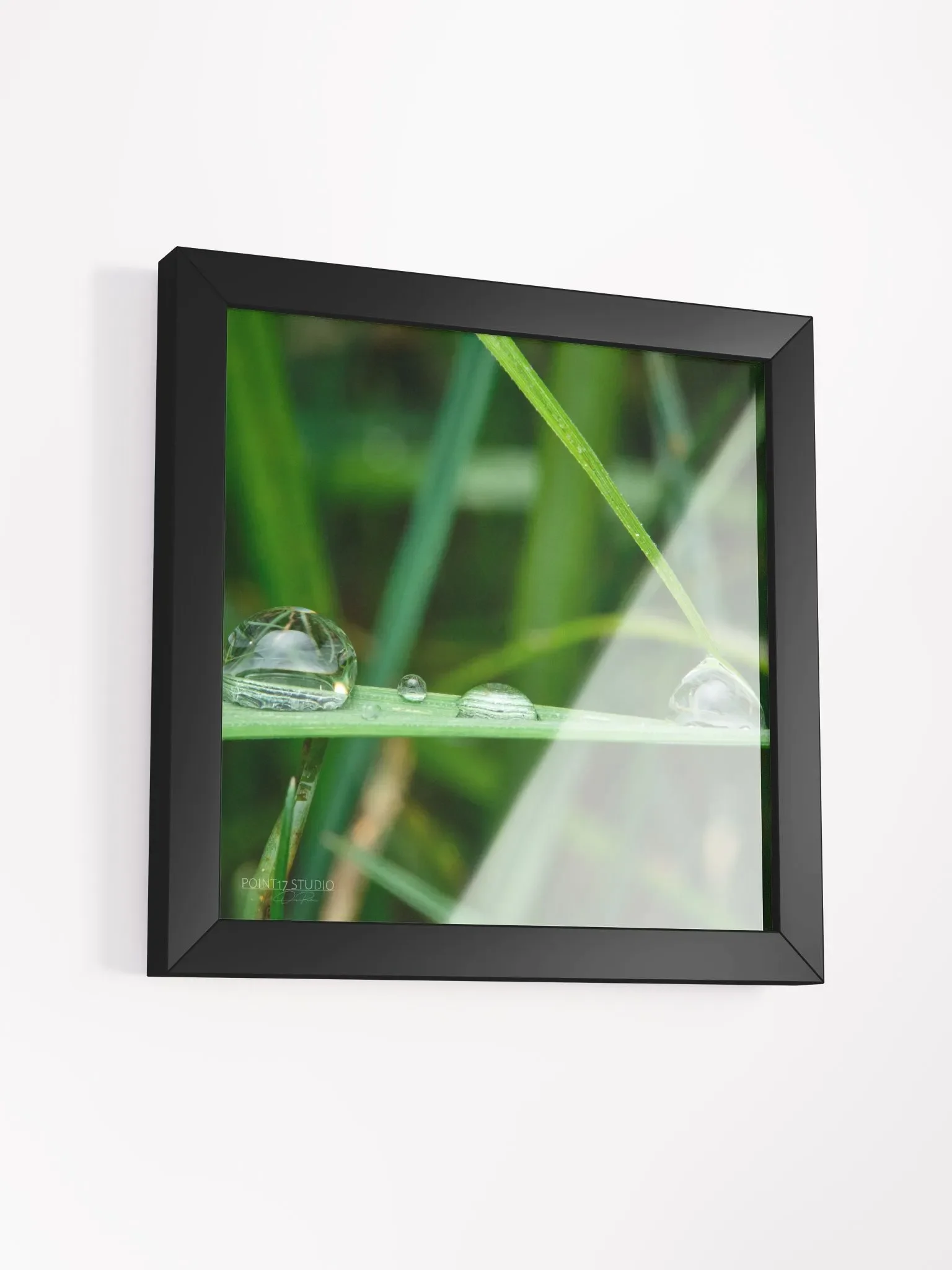 Dew Gems #12 - Framed Print product image (3)