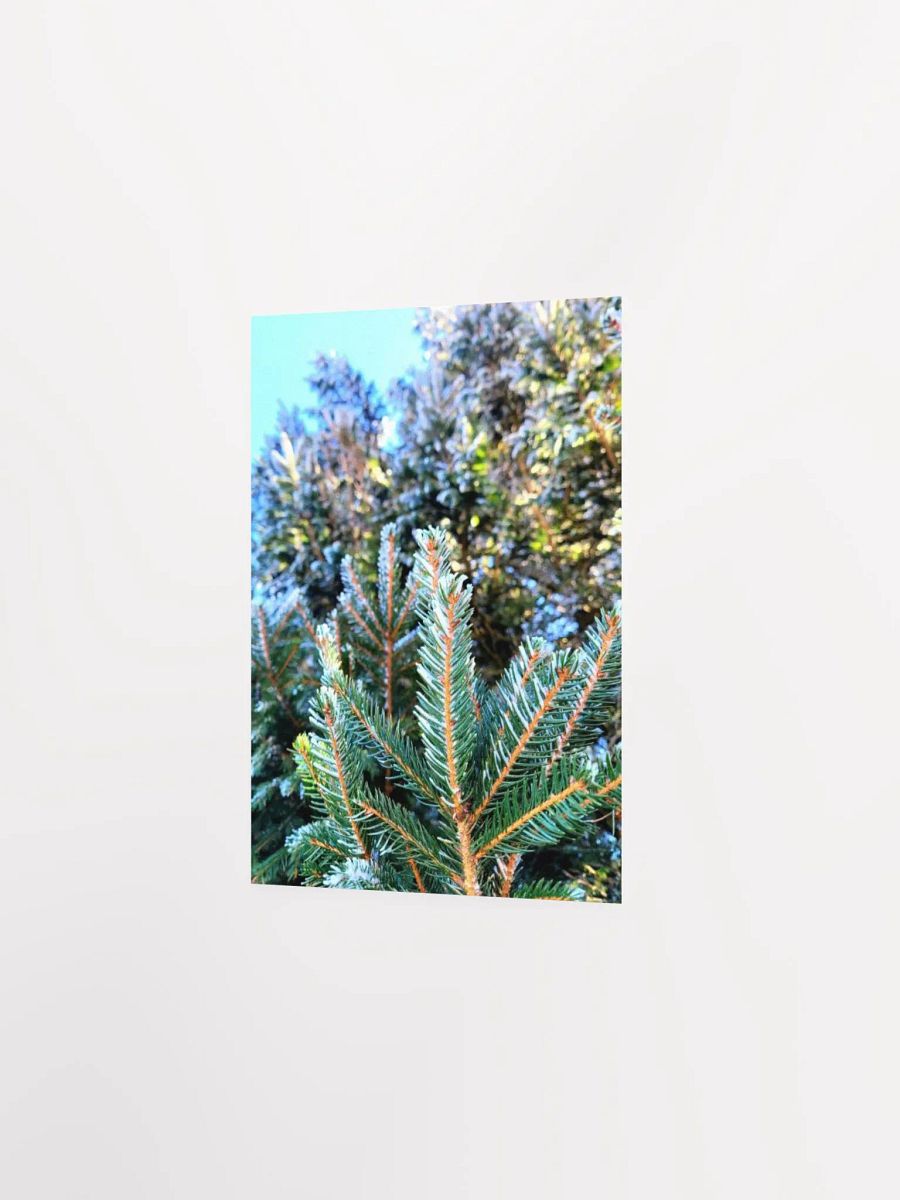 Frosted Trees product image (24)