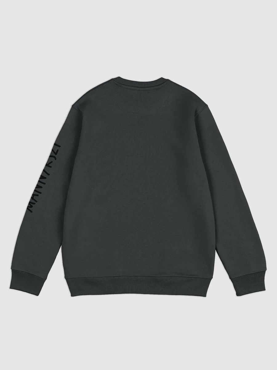 Panda Eco Sweater product image (8)