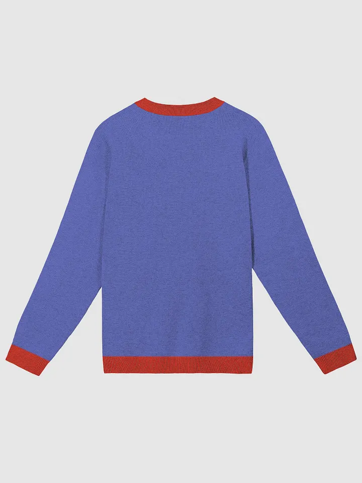 Mens Jumper product image (2)