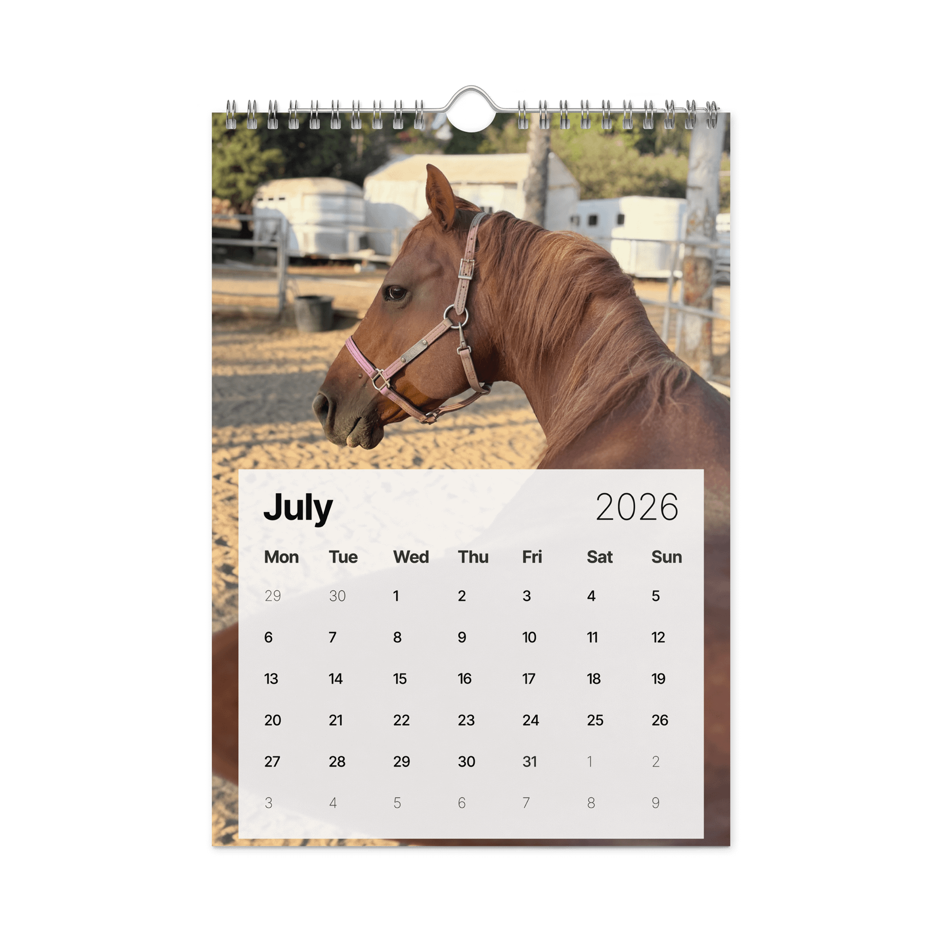 2026 Souls of Sorrels Wall Calendar product image (7)