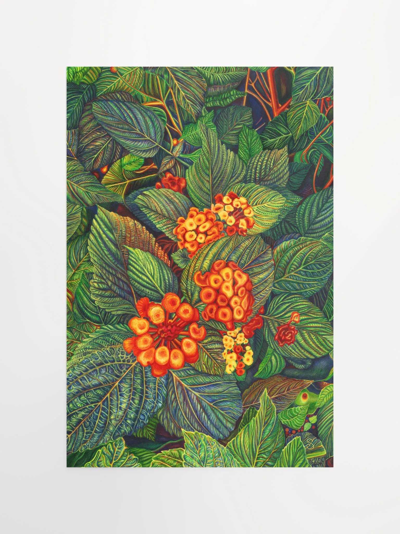 Vibrant Matte Poster Print - Bright Orange Flowers product image (4)