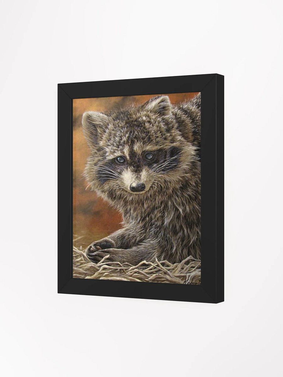Raton/Racoon Poster encadré/framed product image (4)