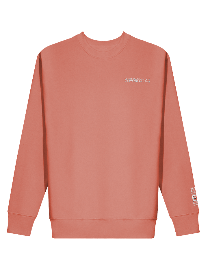 Dusty Rose - L’ENCOURAGEMENT EST L’OXYGÈNE DE L’ÂME product image (2)