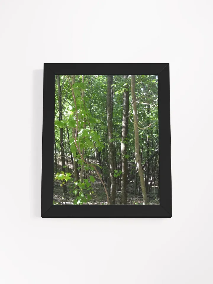Forest High Quality Matte Poster product image (1)
