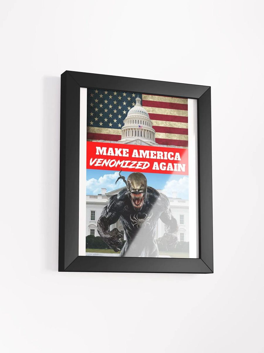MAVA U.S. Capitol Poster product image (43)