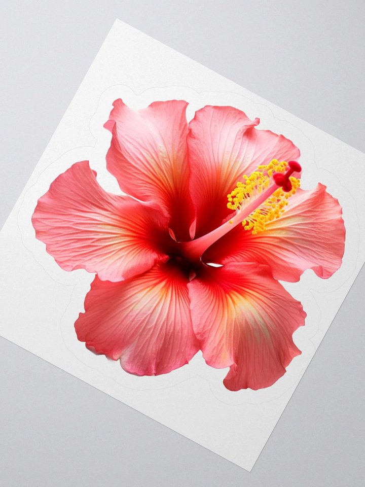 Hibiscus Harmony Sticker Set product image (2)