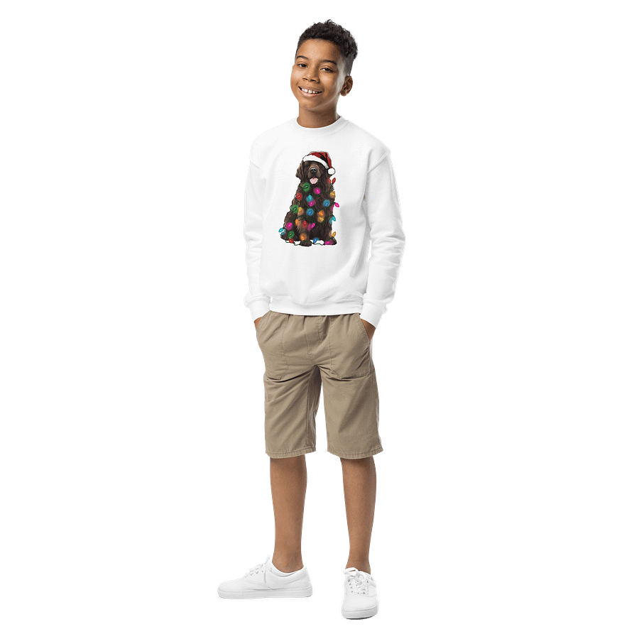 Funny Christmas Newfoundland(Brown) Youth Sweatshirt product image (5)