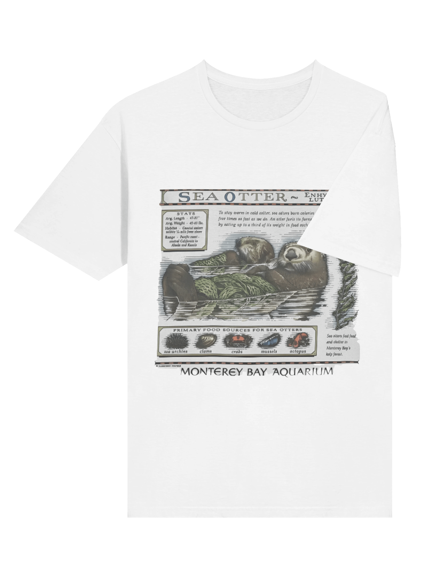 Sea Otter Monterey Bay Aquarium T-shirt product image (4)