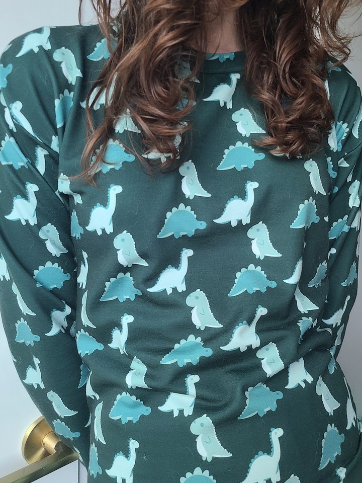 Green Dino Eco Sweatshirt product image (2)