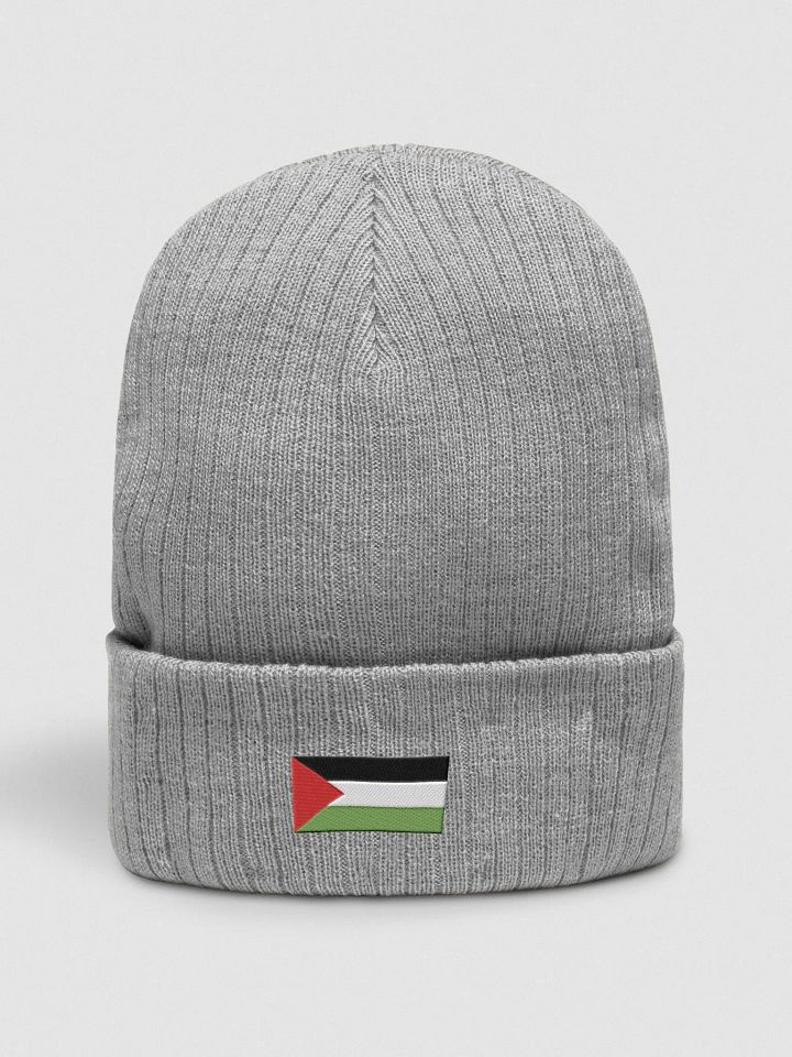 Atlantis Ribbed Knit Beanie | Palestina flag product image (2)