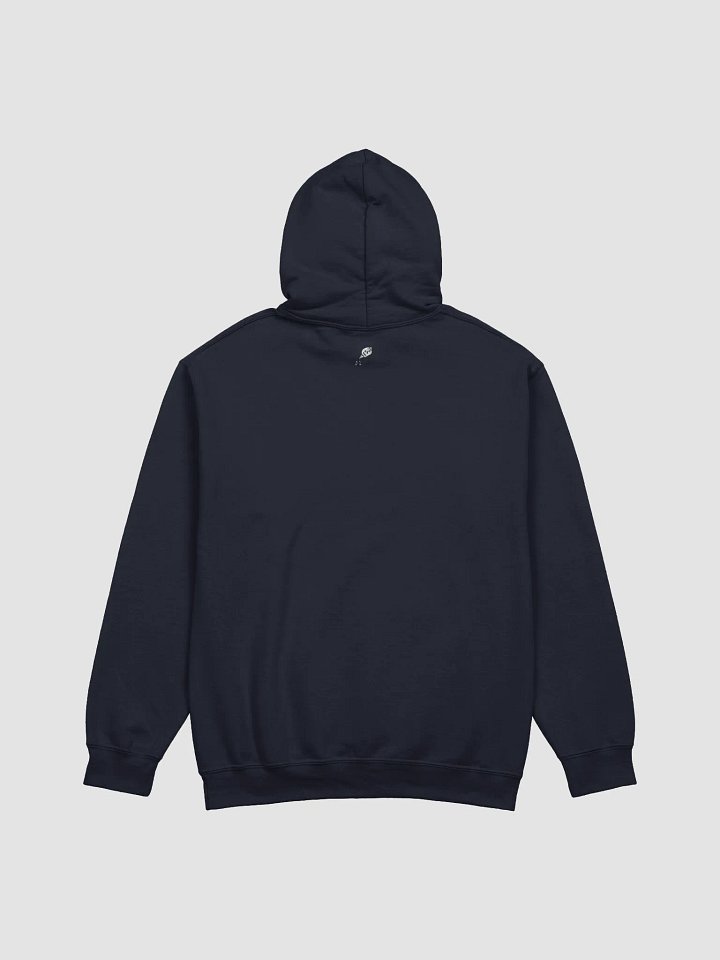 Do Not Disturb: Introvert Hoodie product image (11)
