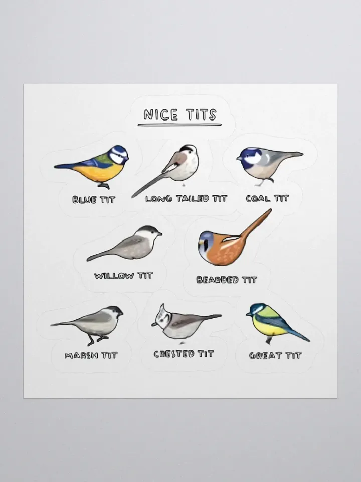 Nice Tits Sticker product image (1)
