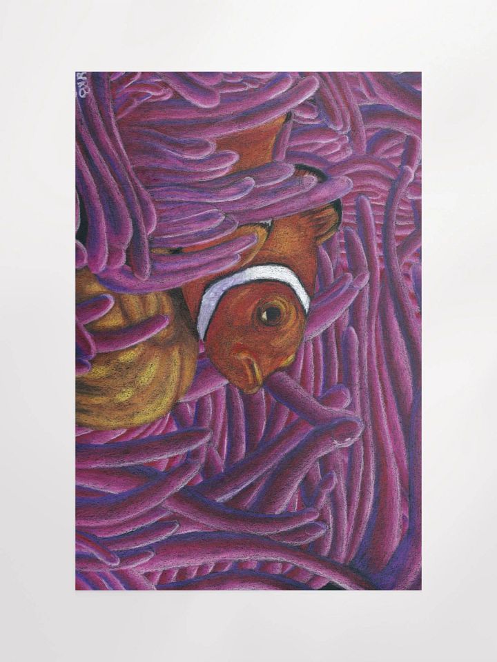 Clown Fish Print product image (8)