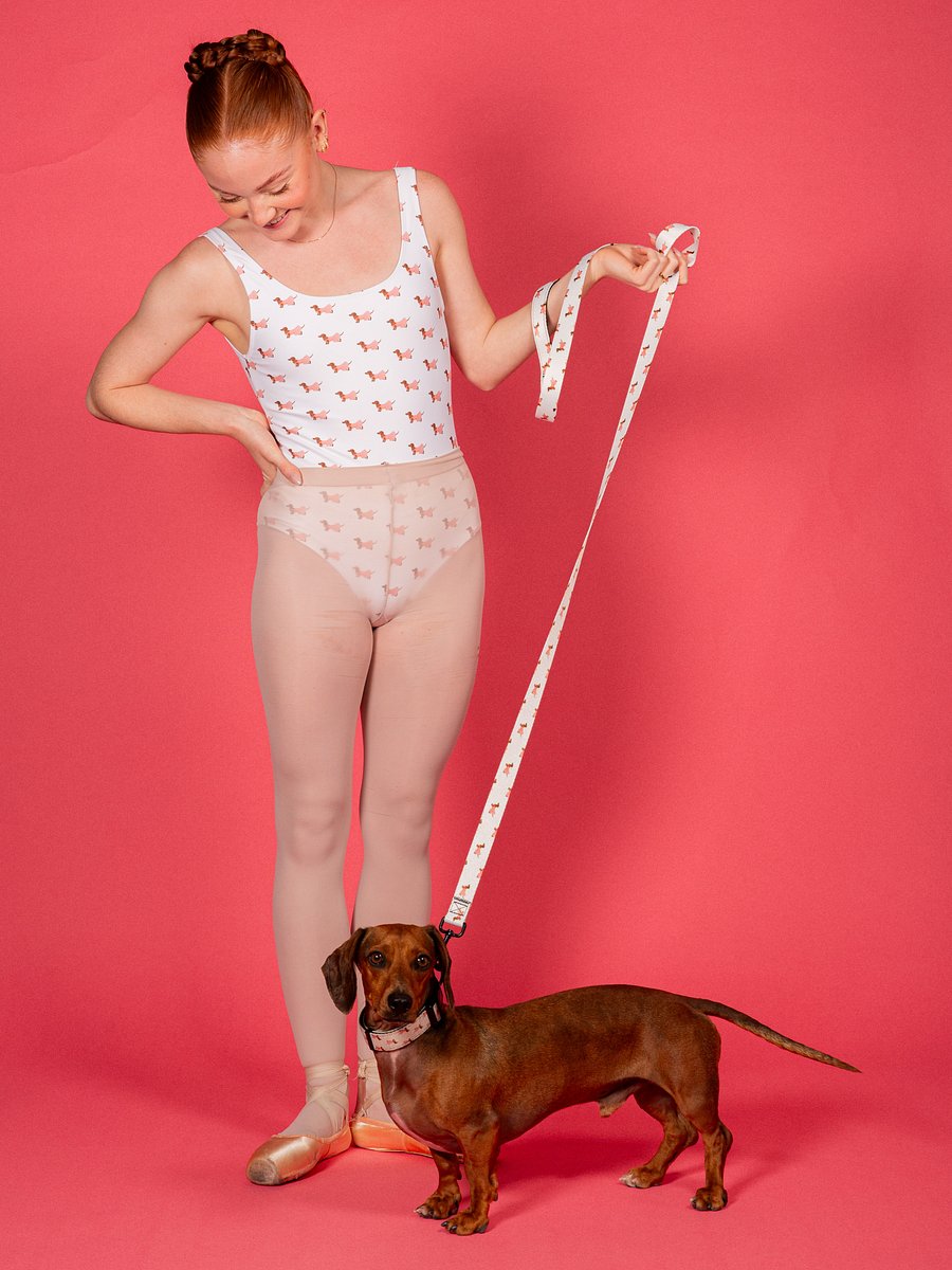 Doxie Leash product image (3)