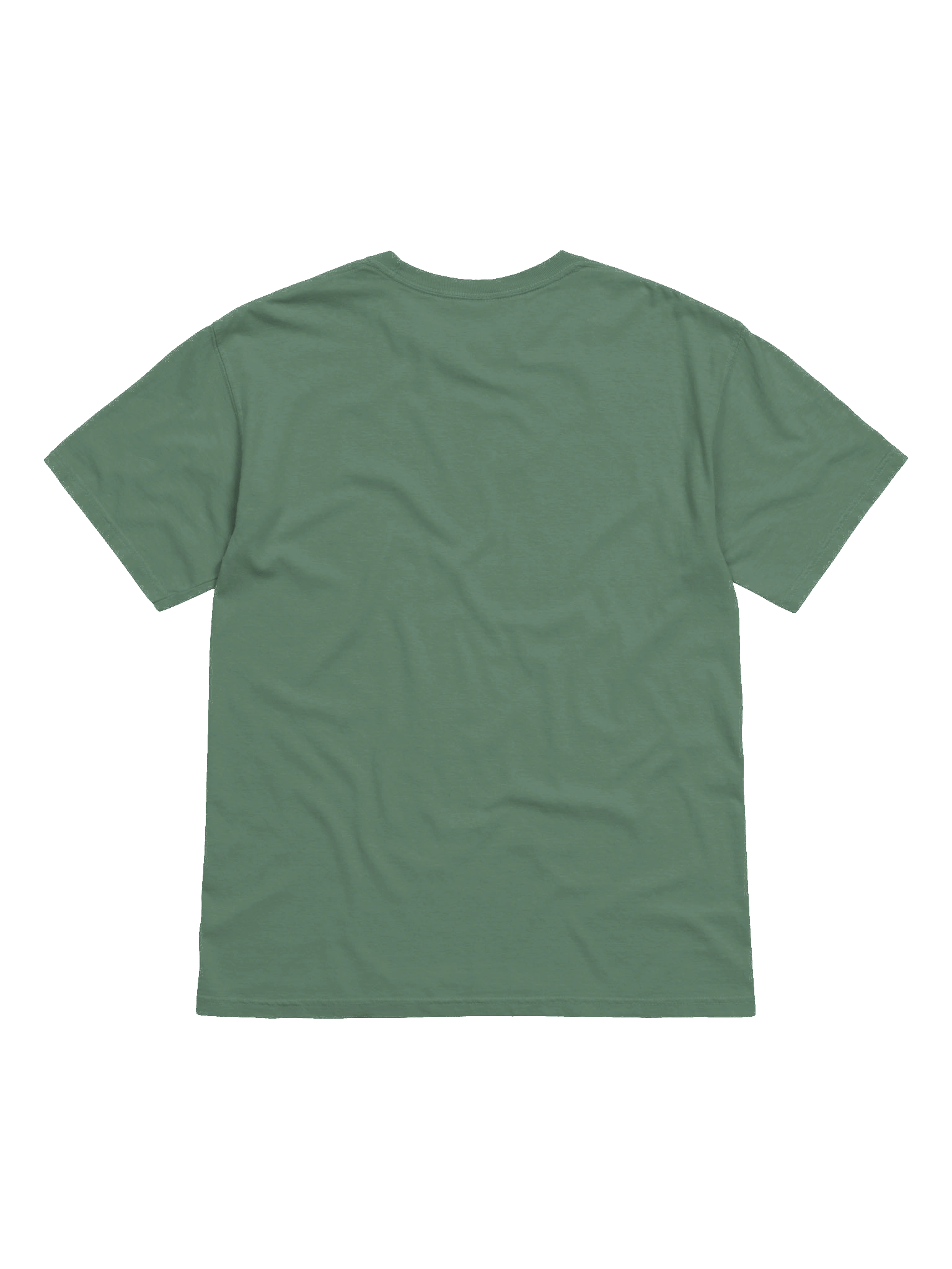 zacvanm Covenant Baptism t'shirt product image (13)