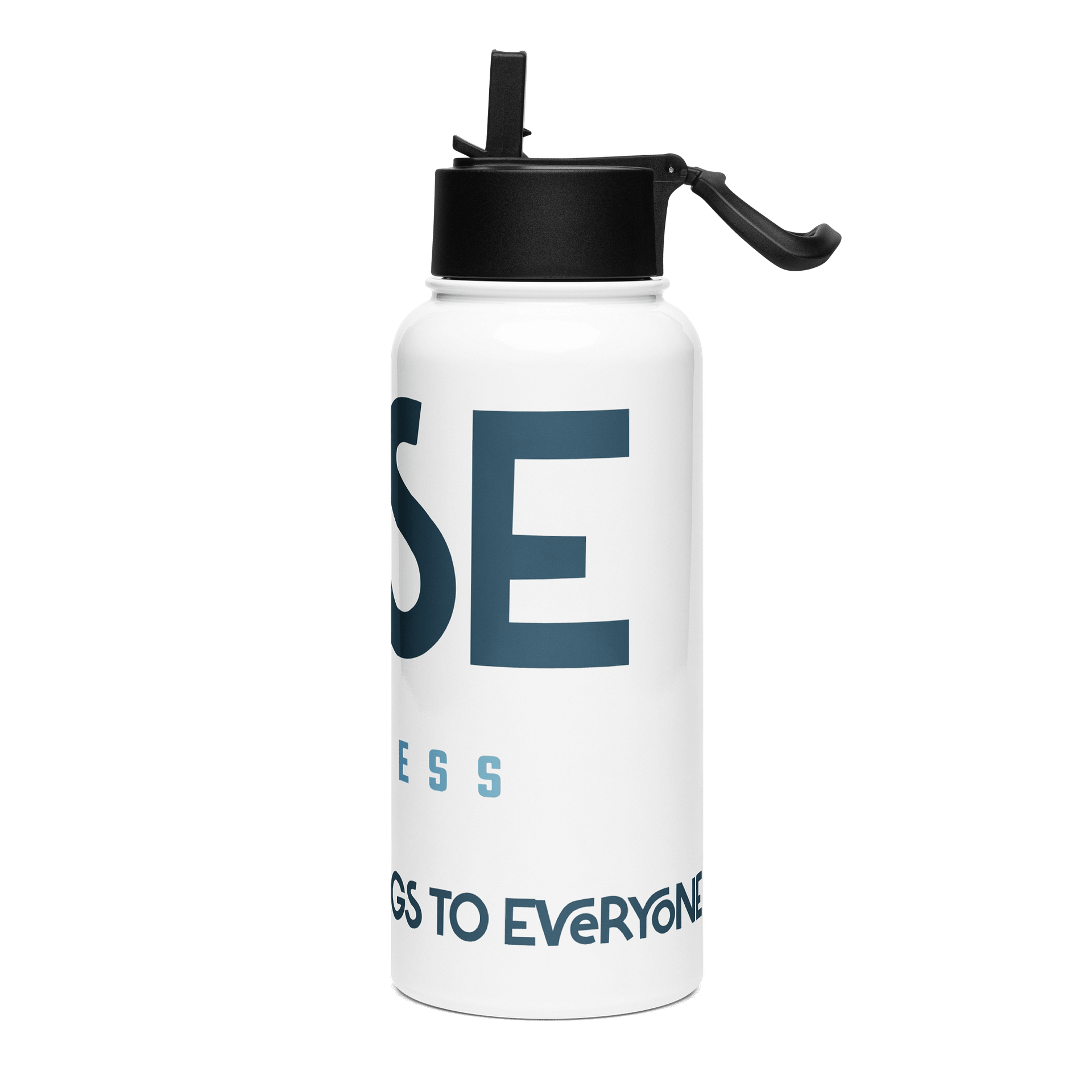 Stainless Steel Bottle product image (3)