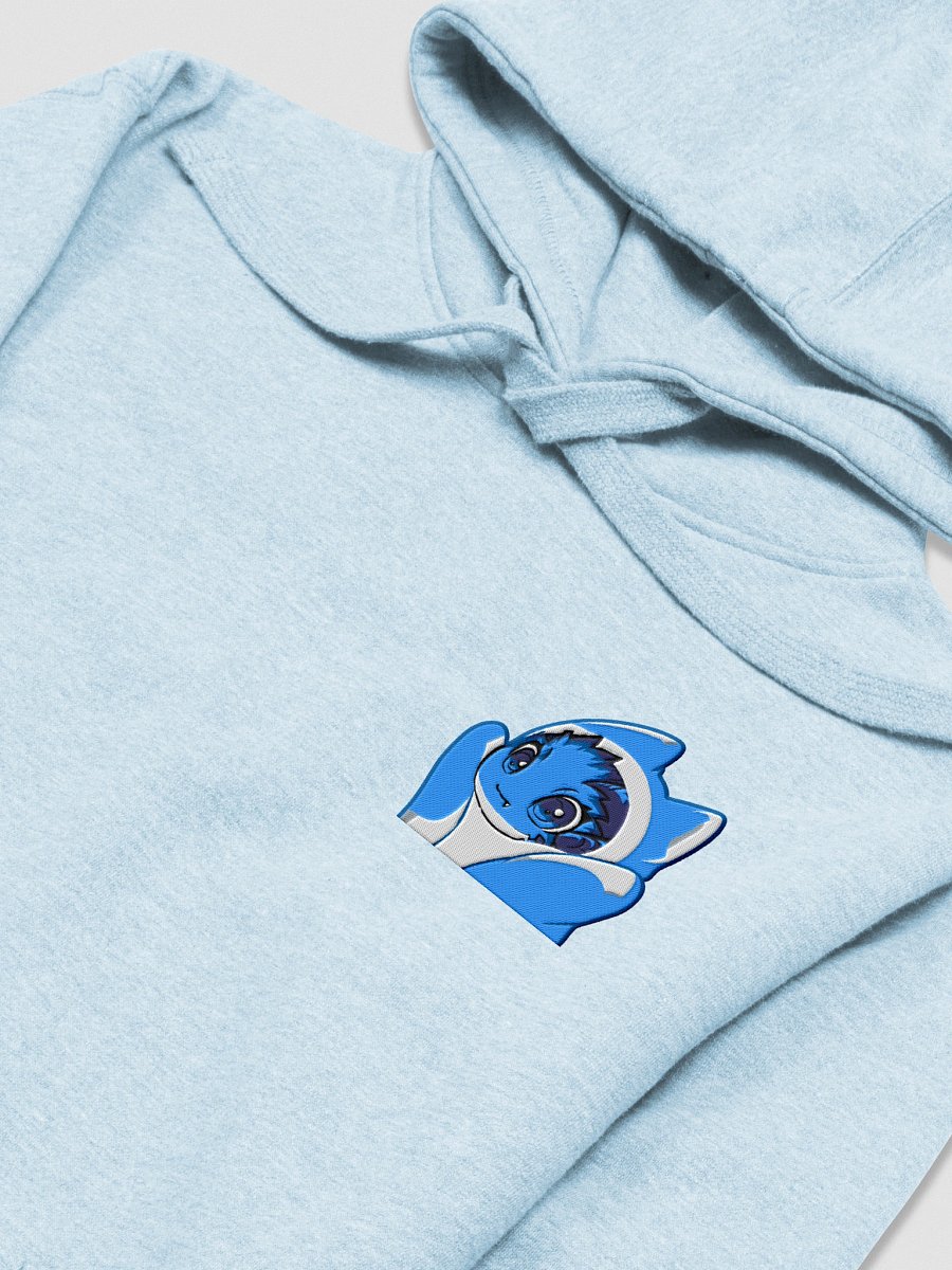 Sharked up Embroidered Hoodie product image (23)