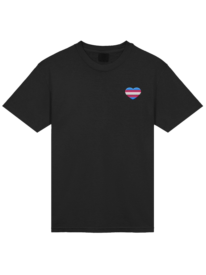 Trans Pride Embroidered T-Shirt product image (1)