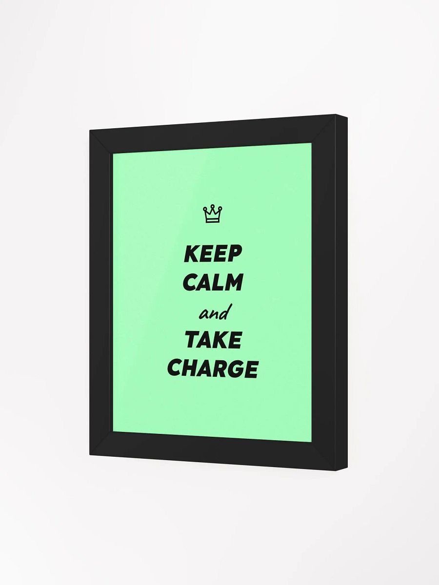 Keep Calm and Take Charge poster product image (47)