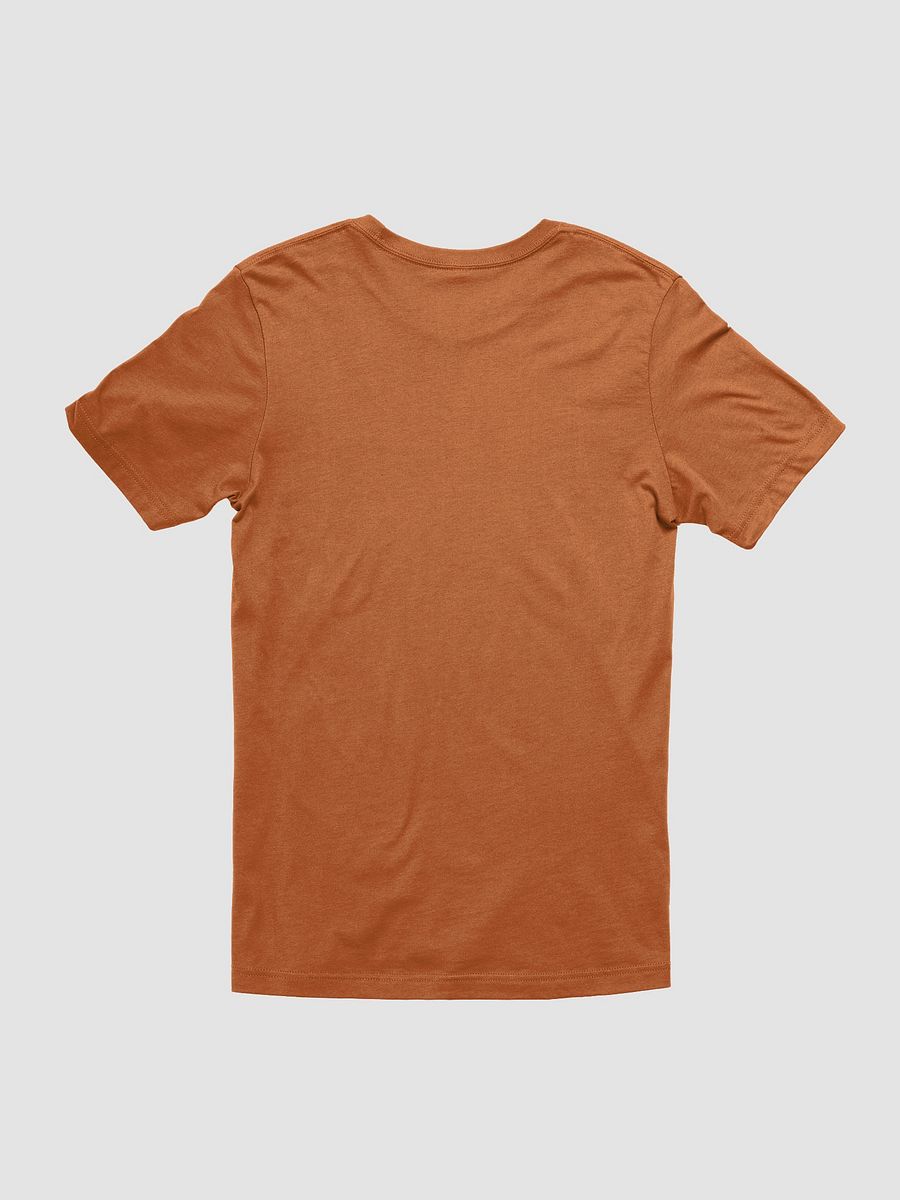 Bella+Canvas Supersoft T-Shirt: hygiene guy product image (21)