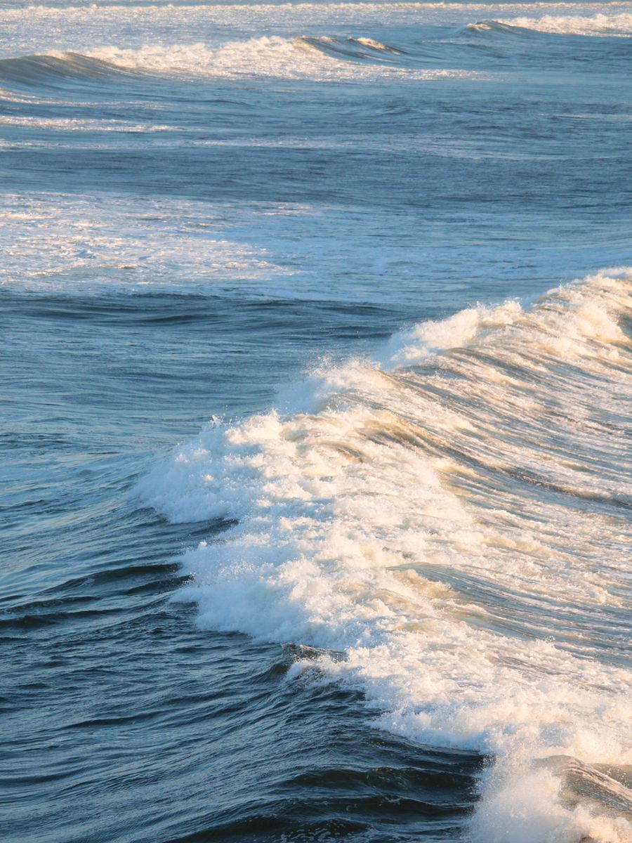 Wild Pacific Light product image (5)