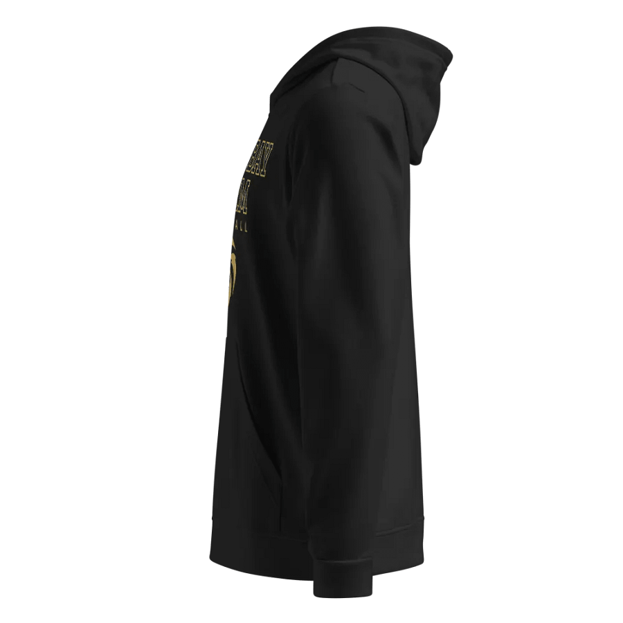 Tampa Bay Storm Adidas Hoodie product image (10)