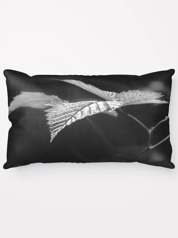 Lower Dungeness Trail Timber sun lighting Pillow product image (2)