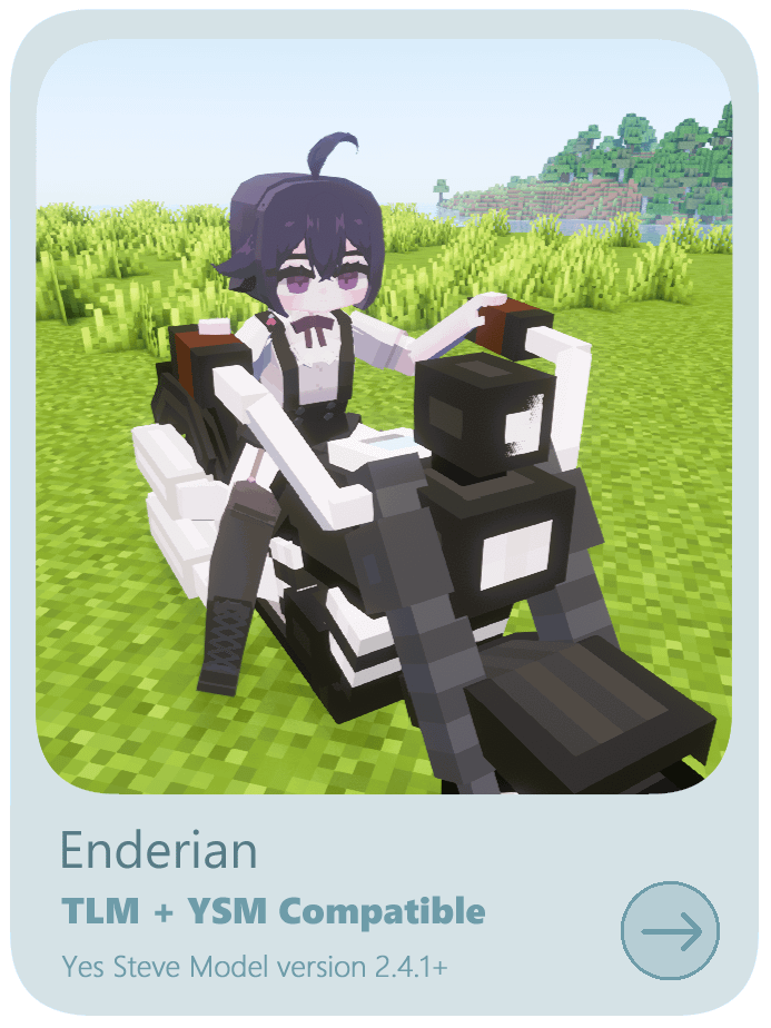 Enderian | Yes Steve Model product image (2)