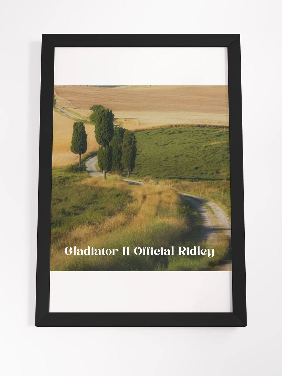 Wall Art Gladiator II Official Ridley Framed High-Quality Matte Poster (in) product image (23)