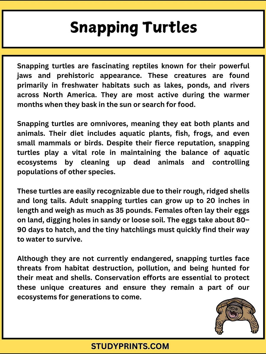 Snapping Turtle Reading Comprehension Passage with Questions product image (2)