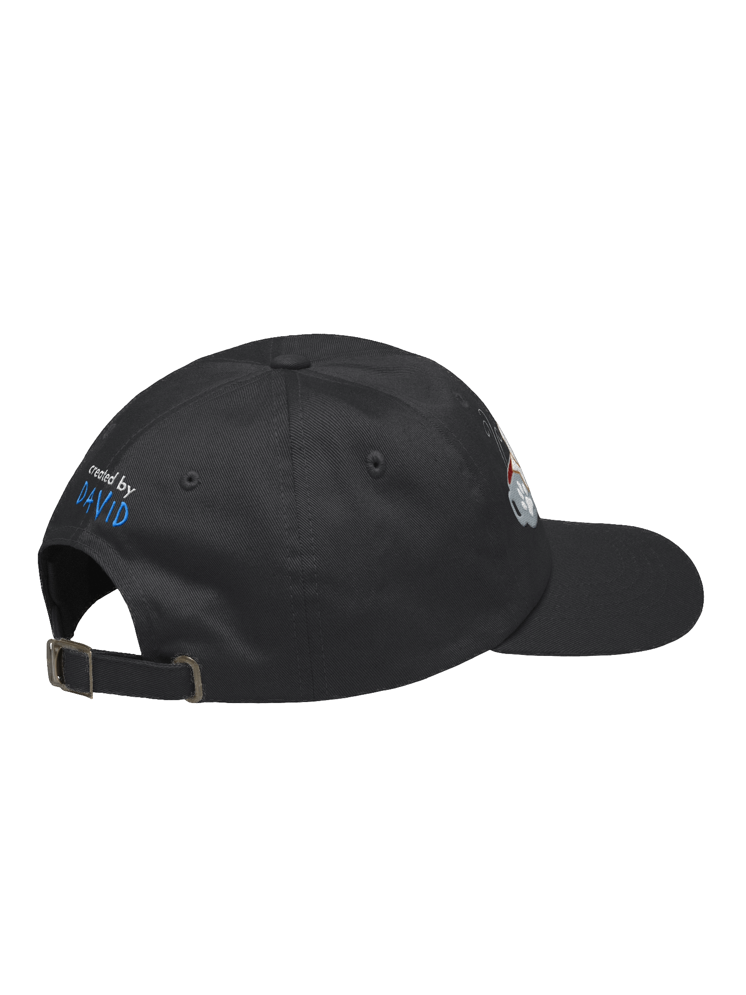 CENTRAL BARK - EMBROIDERED HAT product image (4)