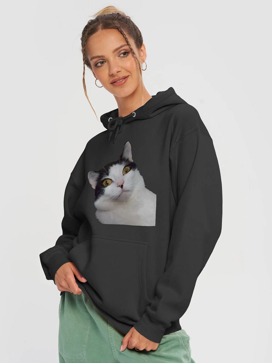 Charlie Hoodie product image (3)