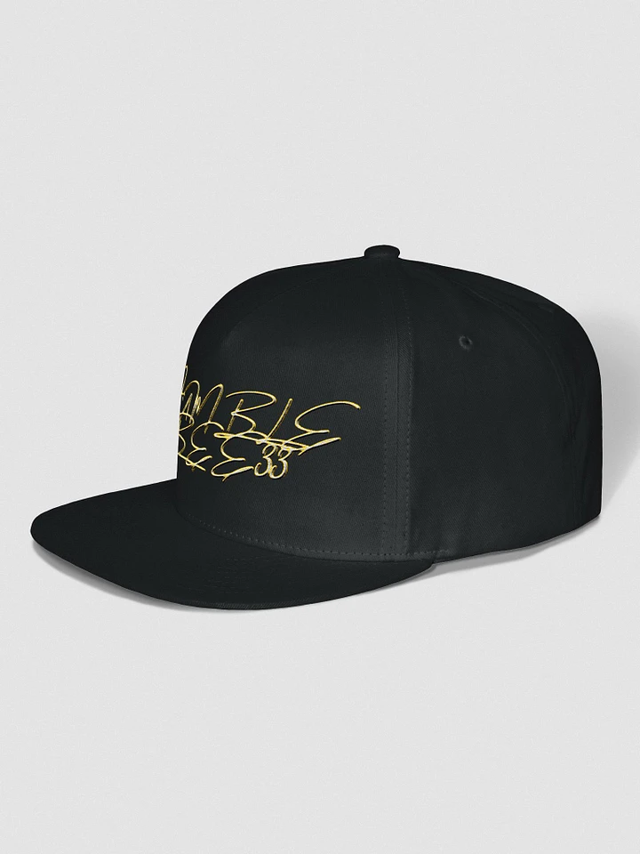 Dumblebee33 Signature Snap Back (Dark) product image (4)