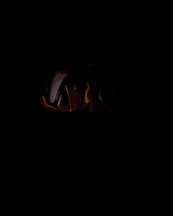 Fire-Semblance Controller Holder product image (1)